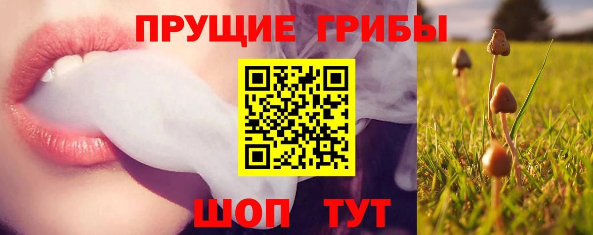 Краснодар  Псилоцибиновые грибы Magic Shrooms  что такое наркотик  Вход с VPN 